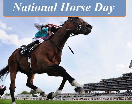 National Horse Day