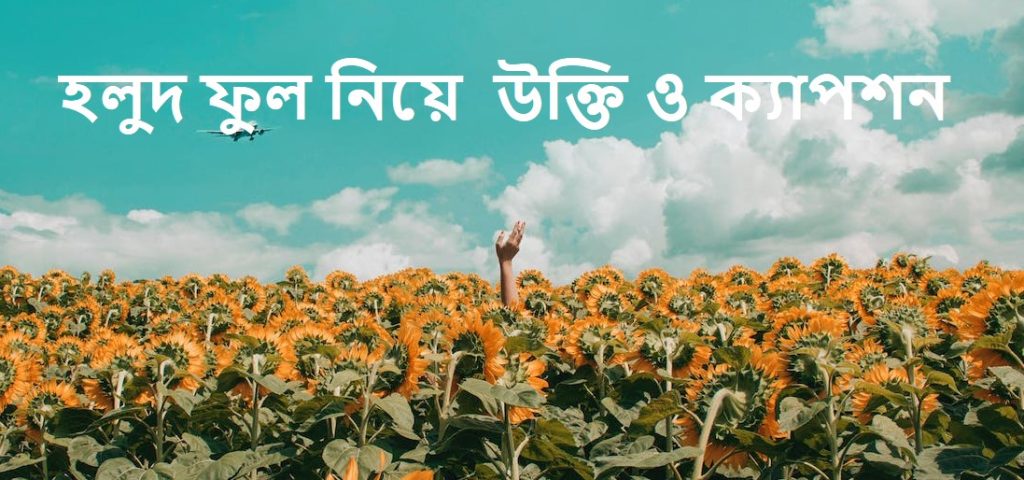 হলুদ ফুল নিয়ে বাণী উক্তি ও ক্যাপশন